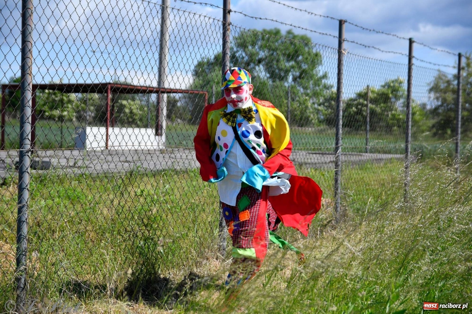 Zdjęcie w galerii na portalu naszraciborz.pl: 4. Bieg Małego Polaka im. Cichociemnych [FOTO i WIDEO] wiadomości z regionu