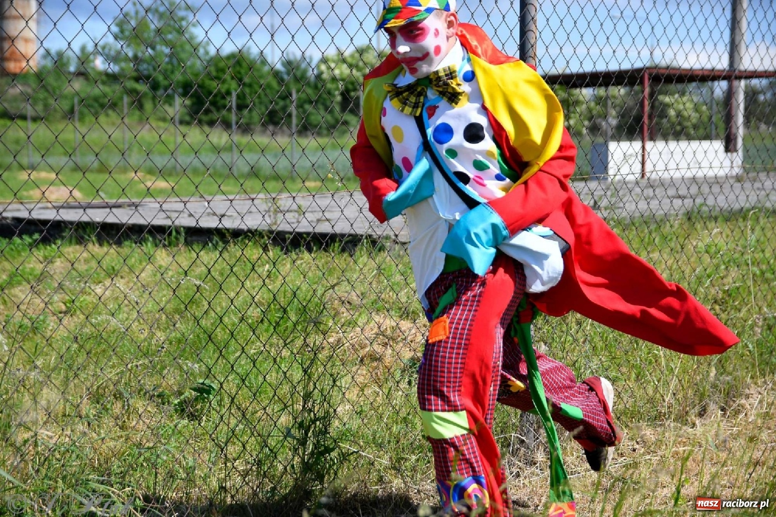 Zdjęcie w galerii na portalu naszraciborz.pl: 4. Bieg Małego Polaka im. Cichociemnych [FOTO i WIDEO] wiadomości z regionu