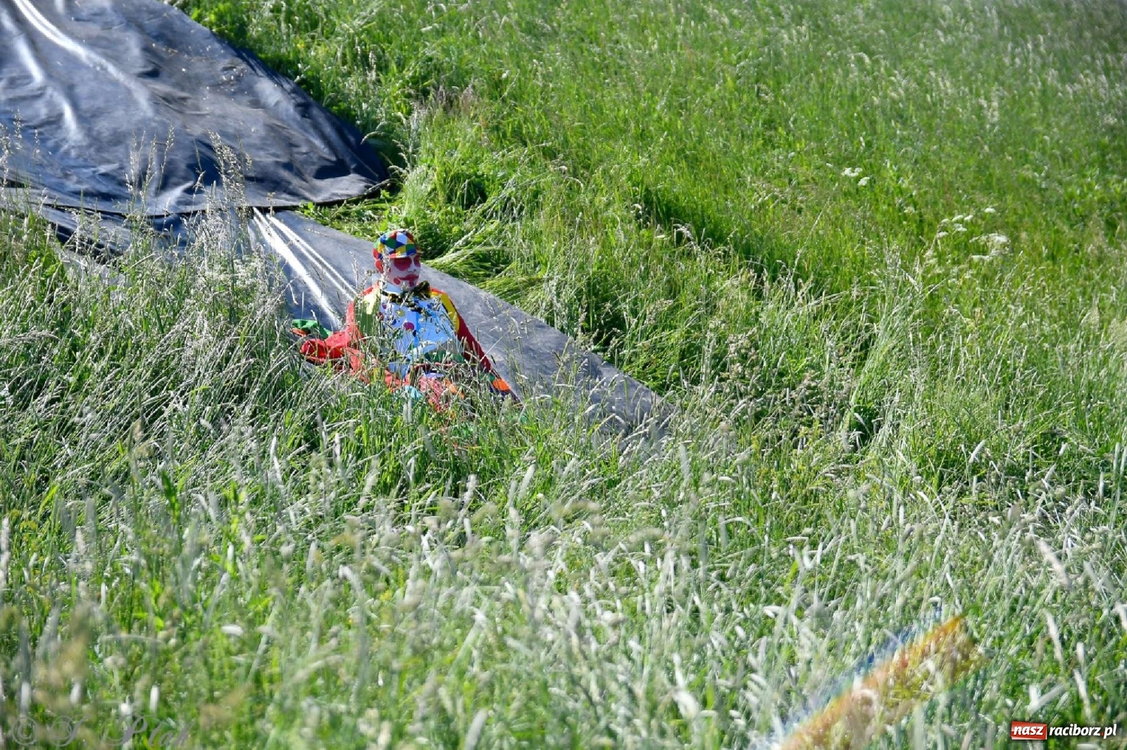 Zdjęcie w galerii na portalu naszraciborz.pl: 4. Bieg Małego Polaka im. Cichociemnych [FOTO i WIDEO] wiadomości z regionu