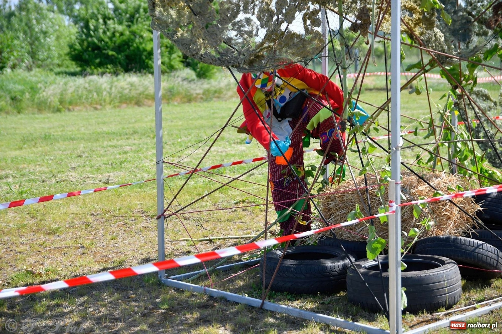 Zdjęcie w galerii na portalu naszraciborz.pl: 4. Bieg Małego Polaka im. Cichociemnych [FOTO i WIDEO] wiadomości z regionu