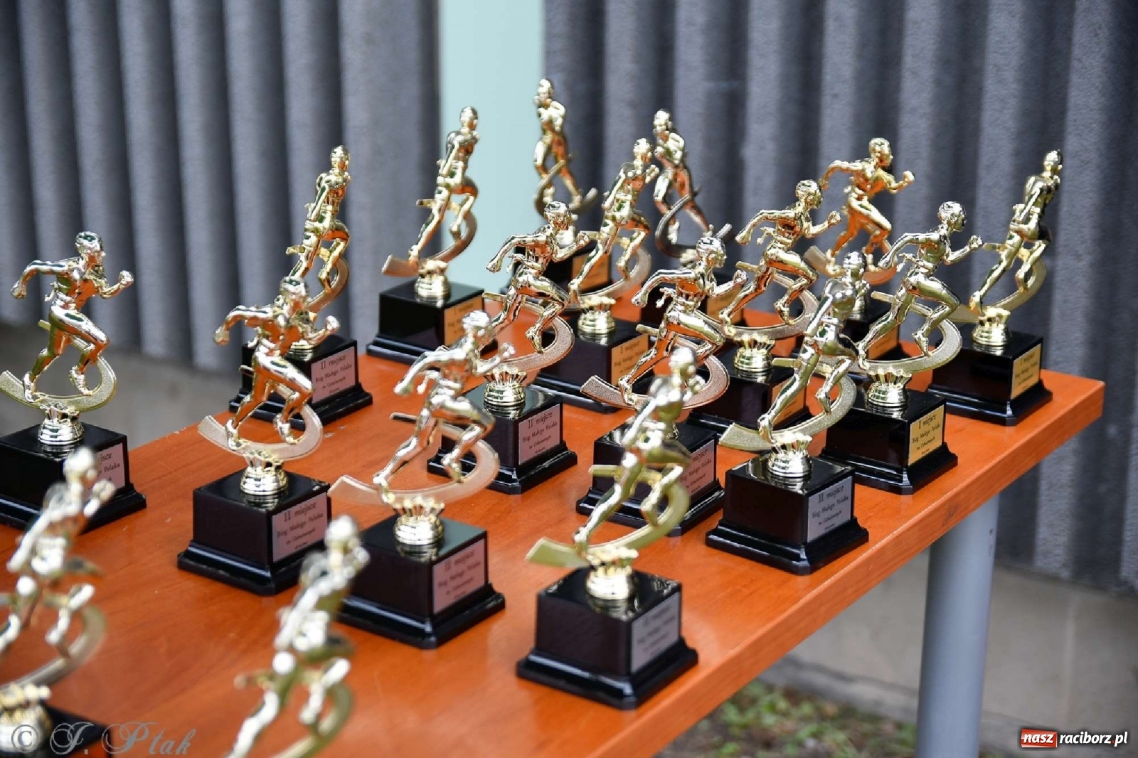 Zdjęcie w galerii na portalu naszraciborz.pl: 4. Bieg Małego Polaka im. Cichociemnych [FOTO i WIDEO] wiadomości z regionu