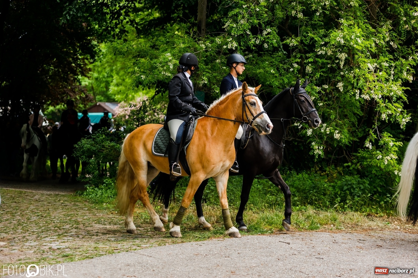 Zdjęcie w galerii na portalu naszraciborz.pl: Konna procesja na św. Urbana w Łubowicach wiadomości z regionu