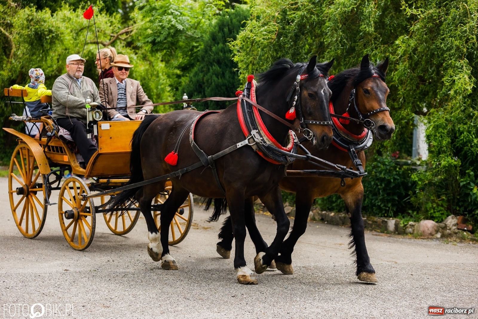 Zdjęcie w galerii na portalu naszraciborz.pl: Konna procesja na św. Urbana w Łubowicach wiadomości z regionu