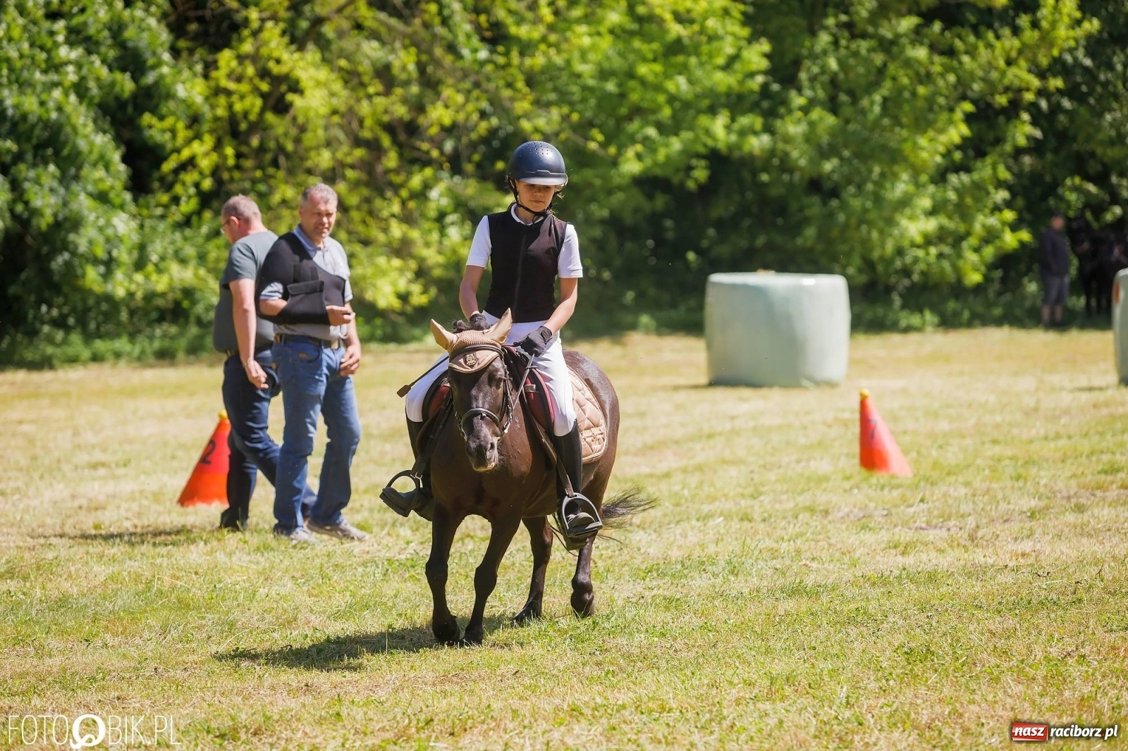 Zdjęcie w galerii na portalu naszraciborz.pl: W siodłach i zaprzęgach. Zawody konne w Łubowicach wiadomości z regionu