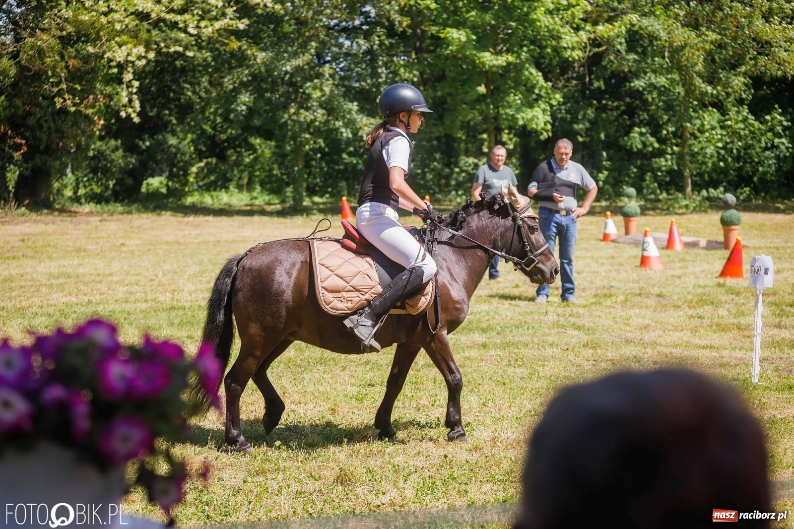 Zdjęcie w galerii na portalu naszraciborz.pl: W siodłach i zaprzęgach. Zawody konne w Łubowicach wiadomości z regionu