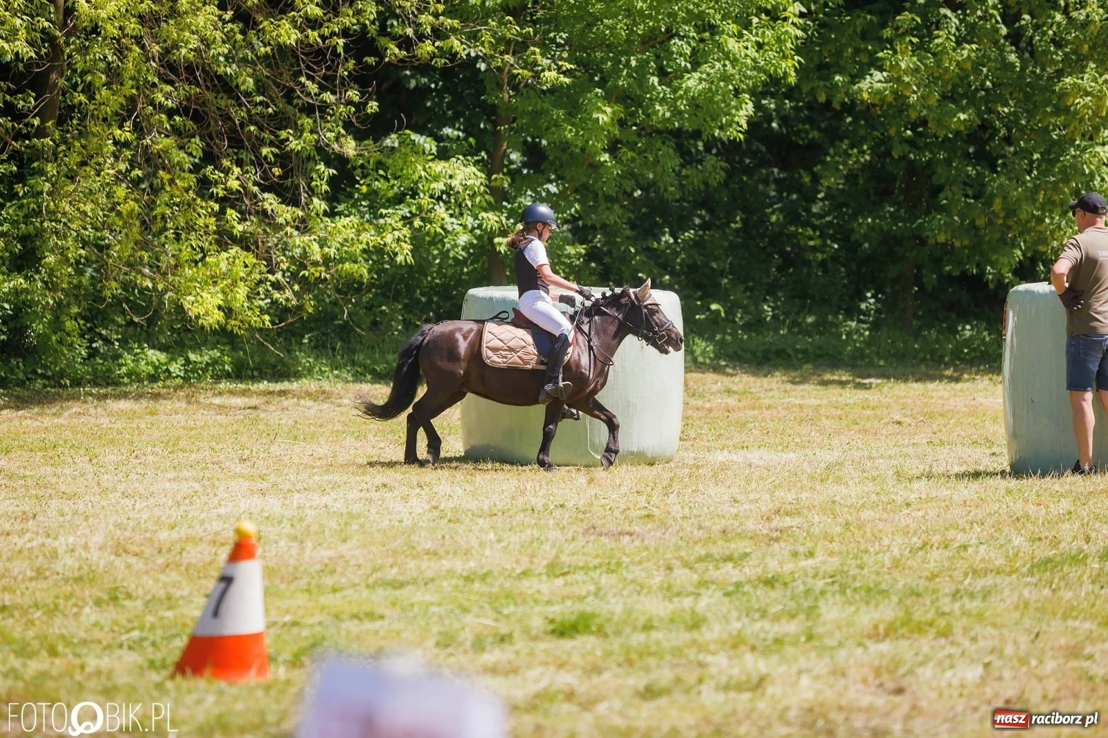 Zdjęcie w galerii na portalu naszraciborz.pl: W siodłach i zaprzęgach. Zawody konne w Łubowicach wiadomości z regionu