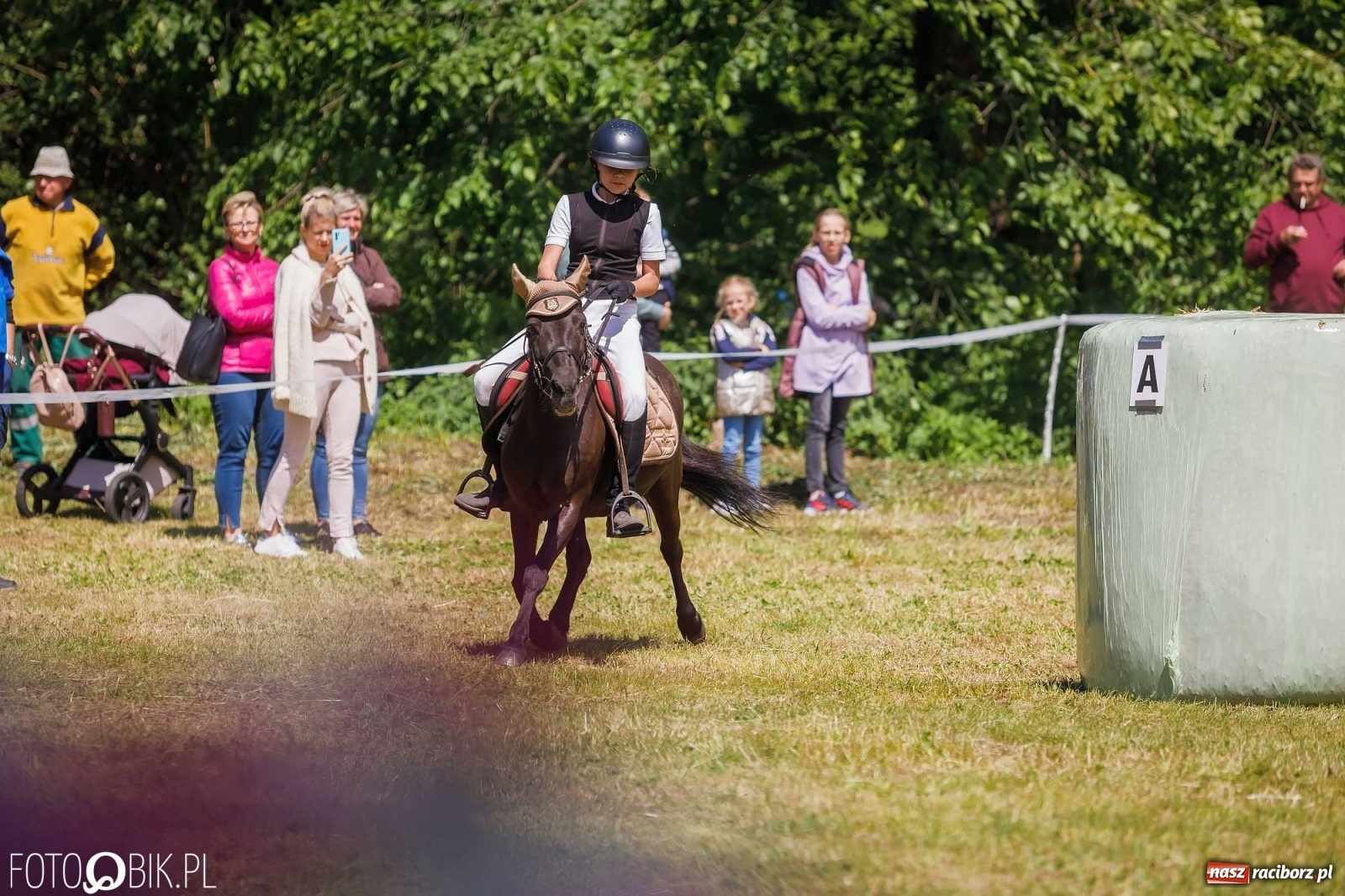 Zdjęcie w galerii na portalu naszraciborz.pl: W siodłach i zaprzęgach. Zawody konne w Łubowicach wiadomości z regionu