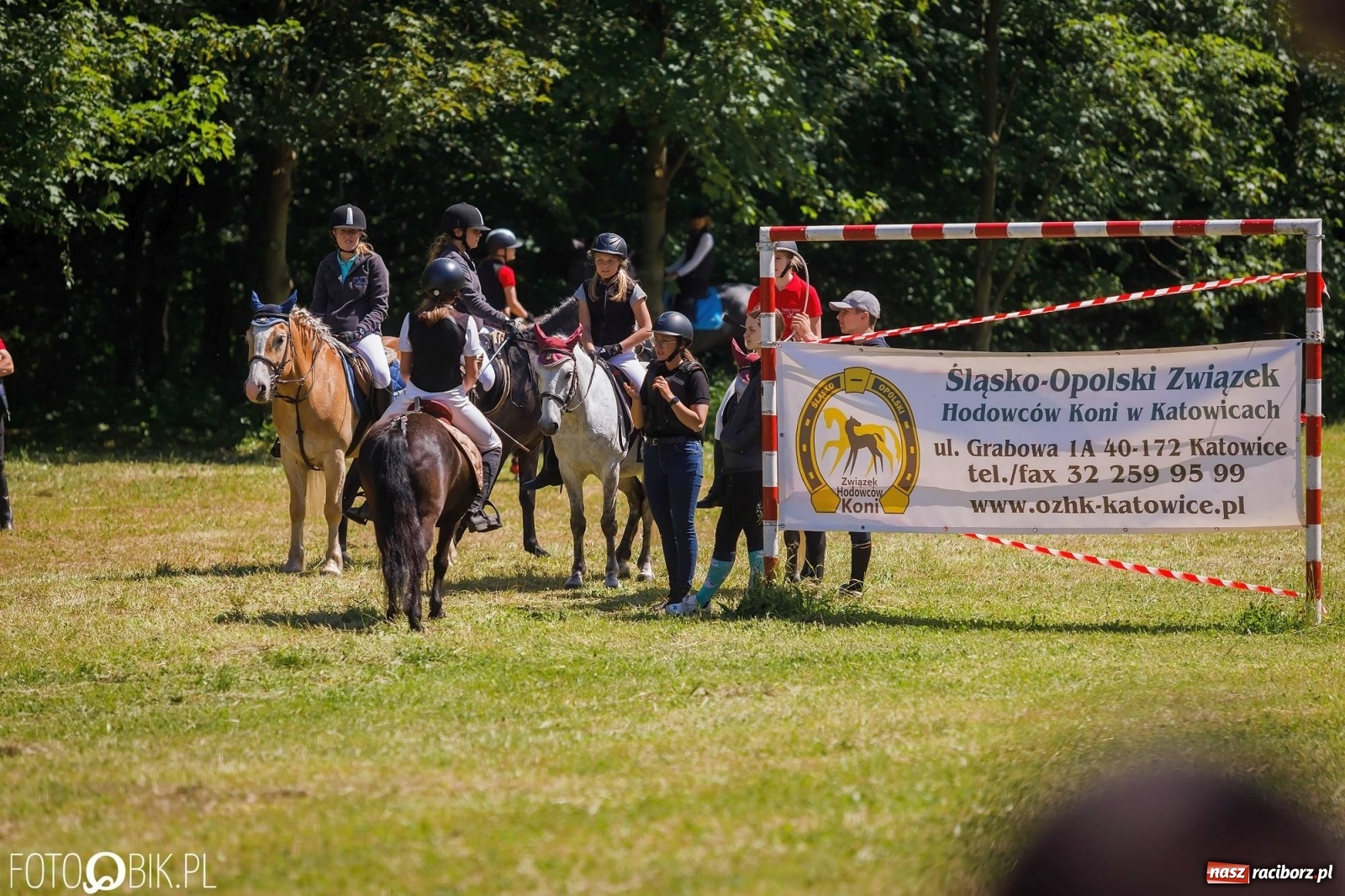Zdjęcie w galerii na portalu naszraciborz.pl: W siodłach i zaprzęgach. Zawody konne w Łubowicach wiadomości z regionu