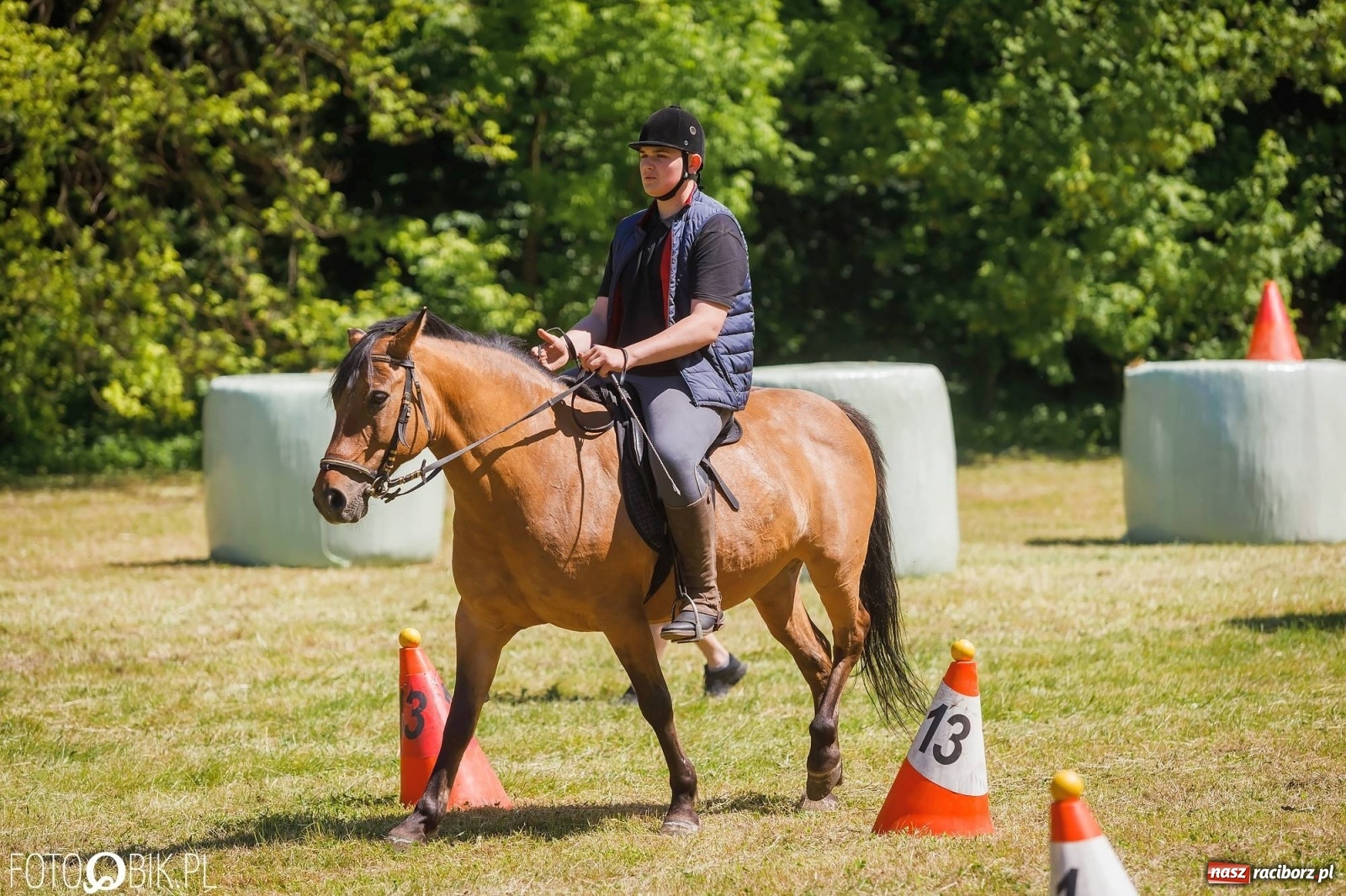 Zdjęcie w galerii na portalu naszraciborz.pl: W siodłach i zaprzęgach. Zawody konne w Łubowicach wiadomości z regionu