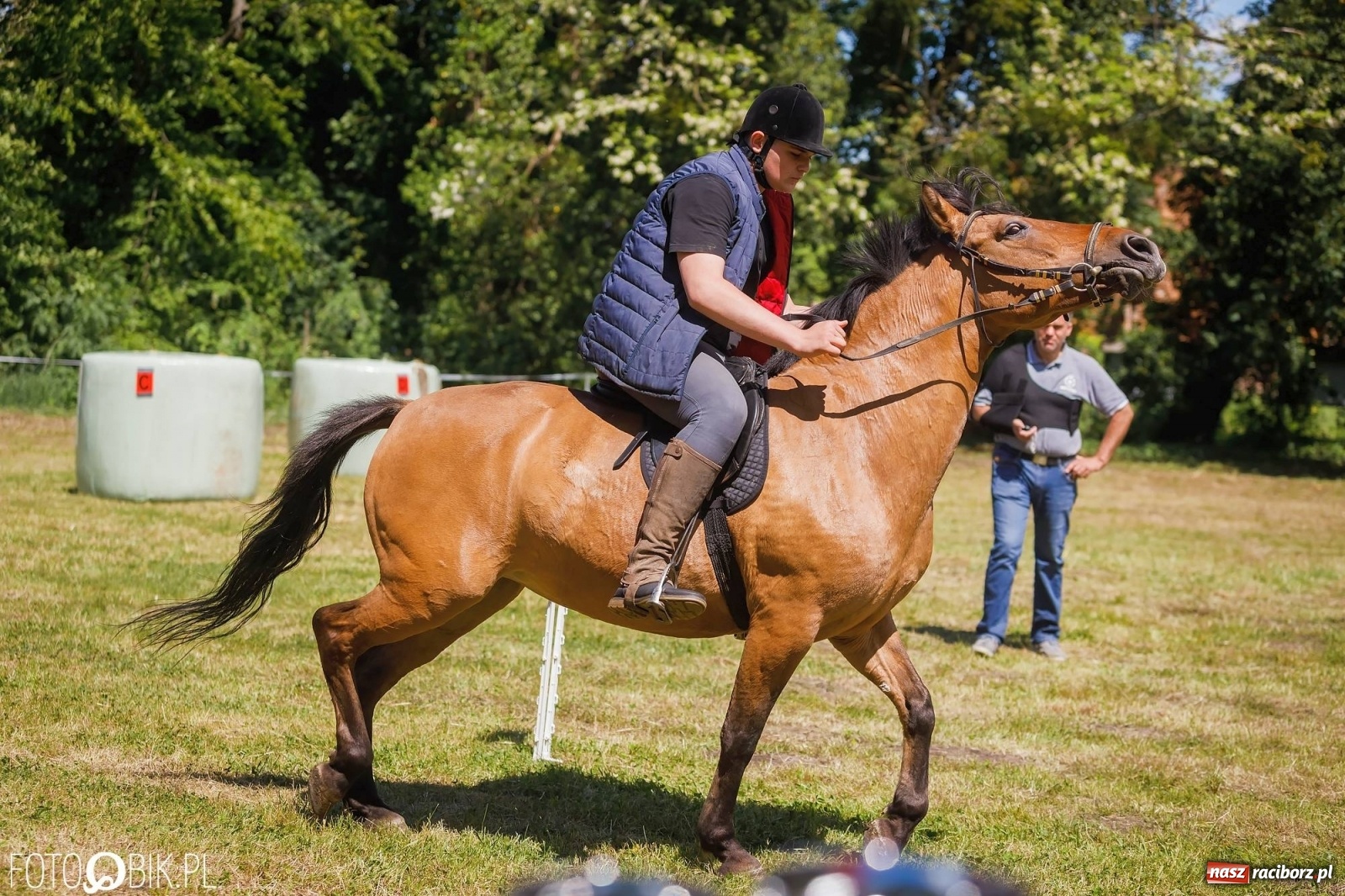 Zdjęcie w galerii na portalu naszraciborz.pl: W siodłach i zaprzęgach. Zawody konne w Łubowicach wiadomości z regionu