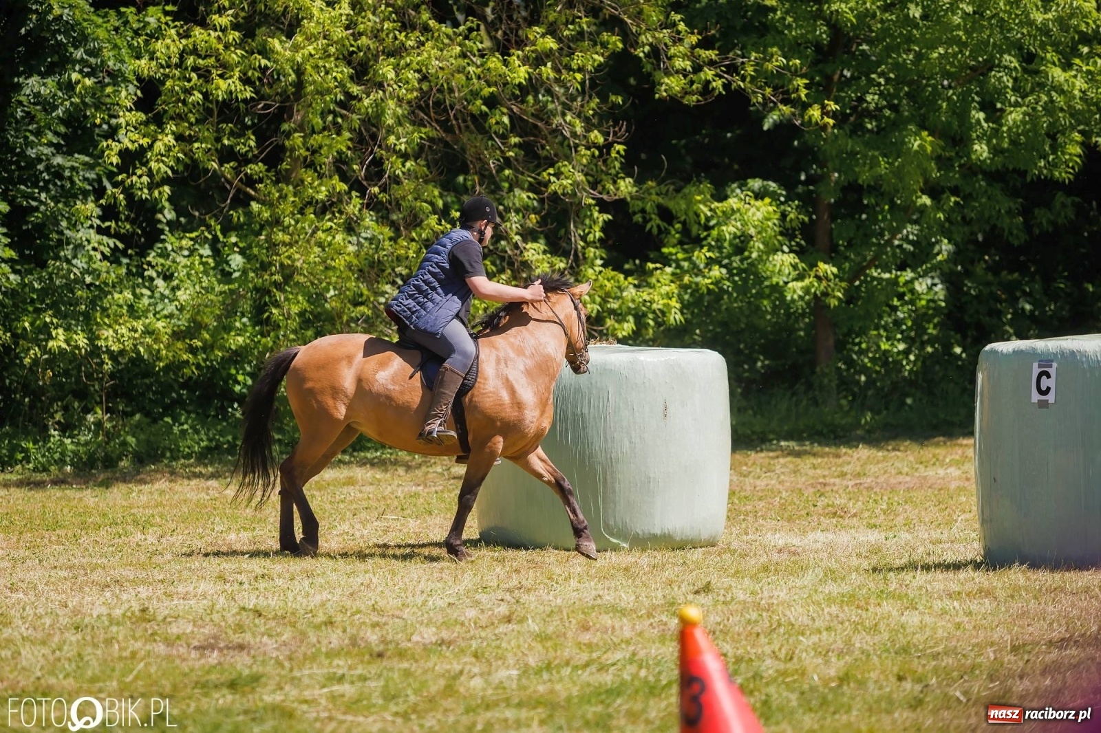Zdjęcie w galerii na portalu naszraciborz.pl: W siodłach i zaprzęgach. Zawody konne w Łubowicach wiadomości z regionu