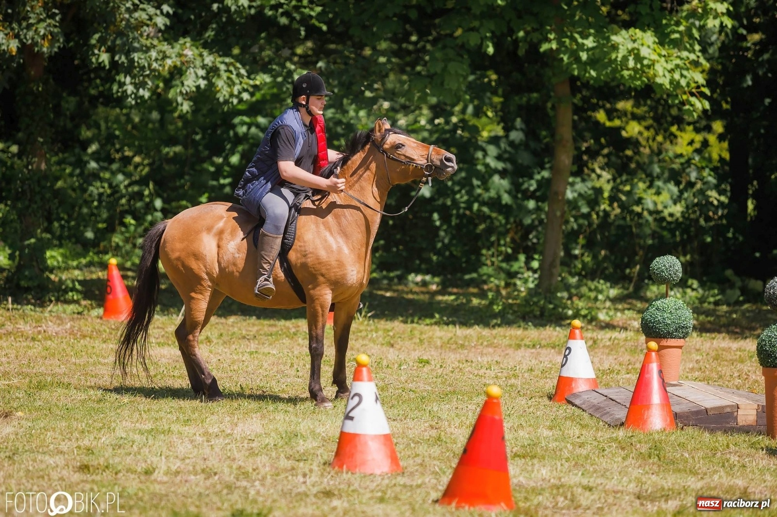Zdjęcie w galerii na portalu naszraciborz.pl: W siodłach i zaprzęgach. Zawody konne w Łubowicach wiadomości z regionu