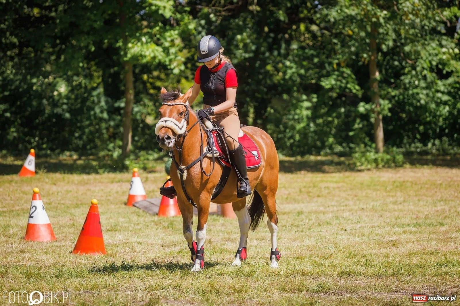 Zdjęcie w galerii na portalu naszraciborz.pl: W siodłach i zaprzęgach. Zawody konne w Łubowicach wiadomości z regionu