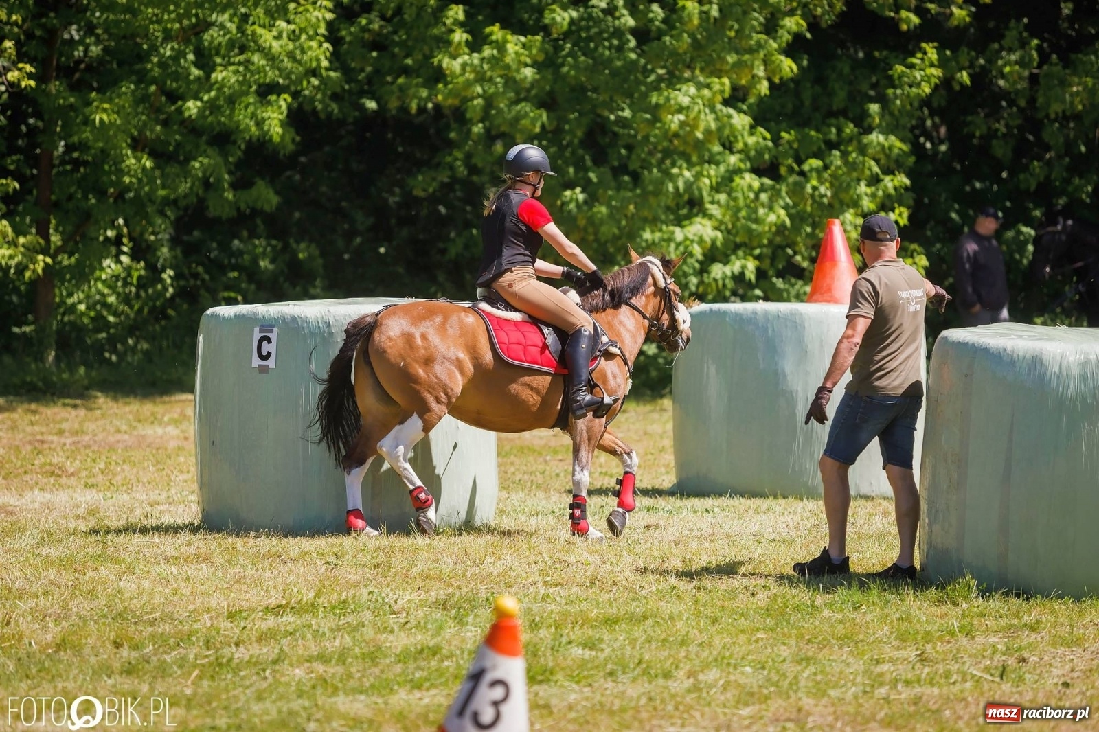 Zdjęcie w galerii na portalu naszraciborz.pl: W siodłach i zaprzęgach. Zawody konne w Łubowicach wiadomości z regionu