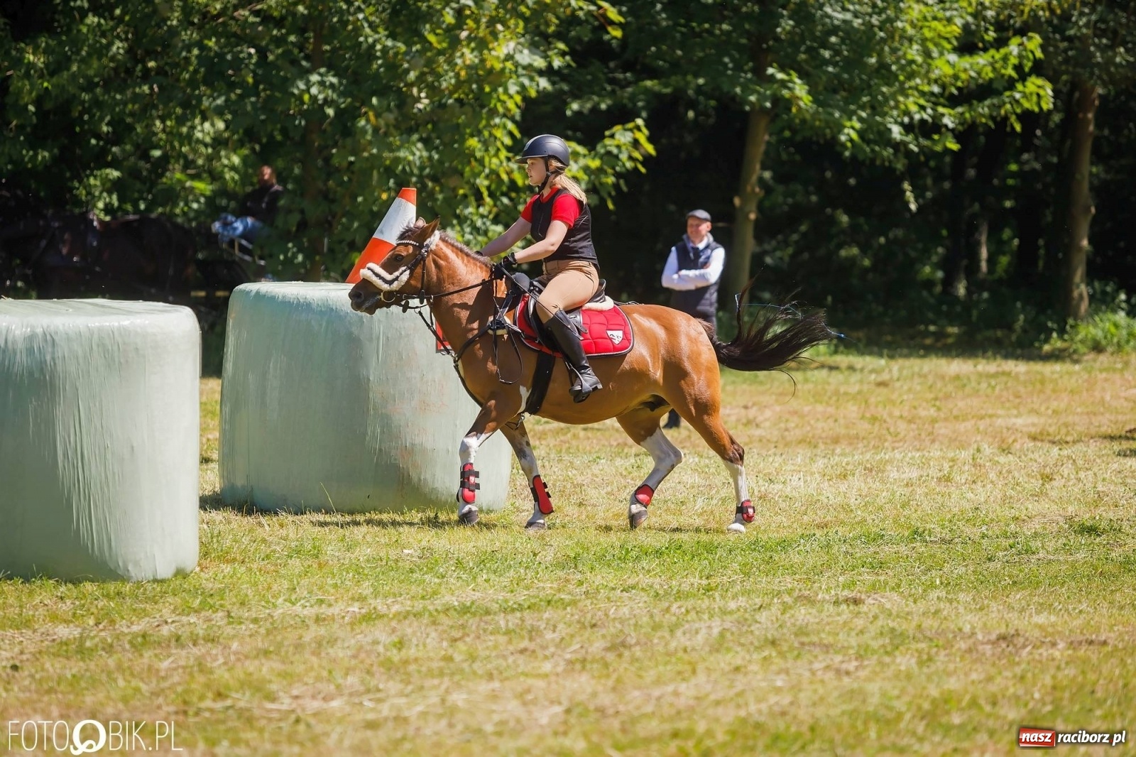 Zdjęcie w galerii na portalu naszraciborz.pl: W siodłach i zaprzęgach. Zawody konne w Łubowicach wiadomości z regionu