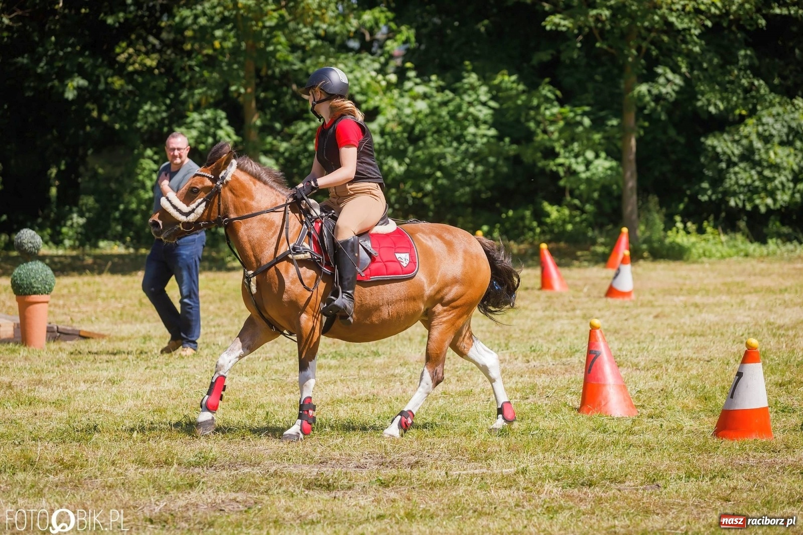 Zdjęcie w galerii na portalu naszraciborz.pl: W siodłach i zaprzęgach. Zawody konne w Łubowicach wiadomości z regionu