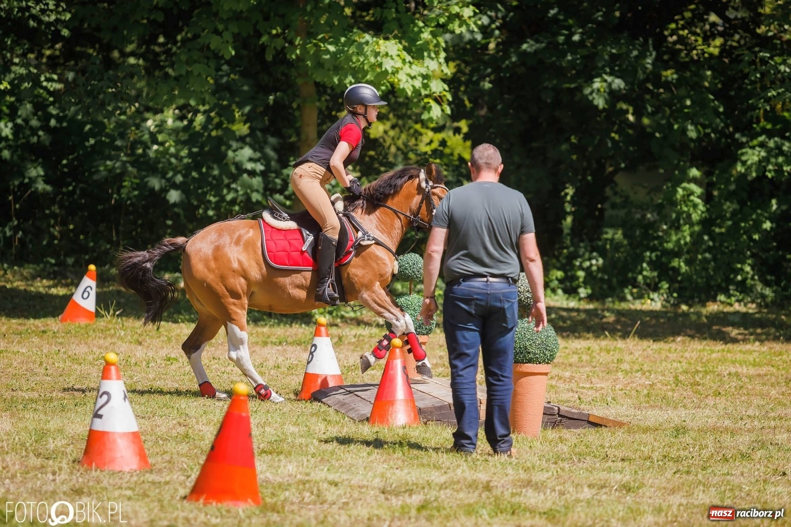 Zdjęcie w galerii na portalu naszraciborz.pl: W siodłach i zaprzęgach. Zawody konne w Łubowicach wiadomości z regionu