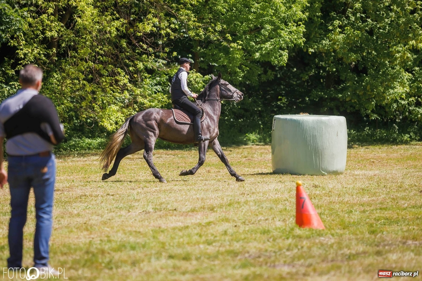 Zdjęcie w galerii na portalu naszraciborz.pl: W siodłach i zaprzęgach. Zawody konne w Łubowicach wiadomości z regionu