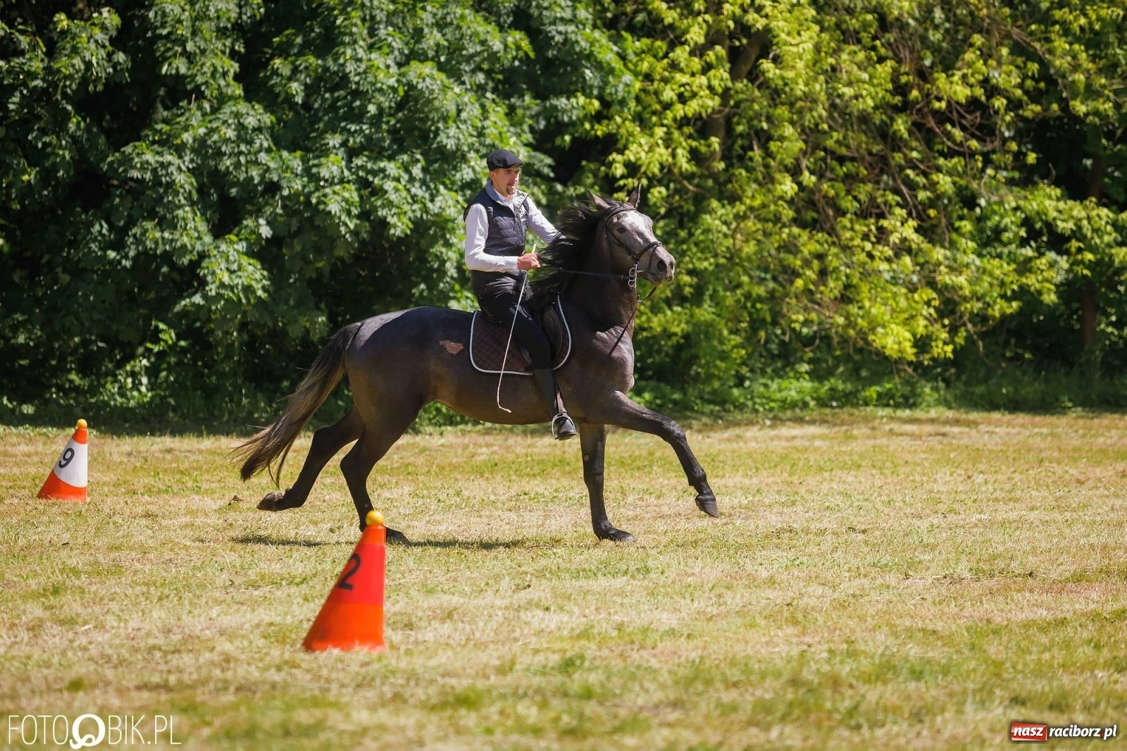 Zdjęcie w galerii na portalu naszraciborz.pl: W siodłach i zaprzęgach. Zawody konne w Łubowicach wiadomości z regionu
