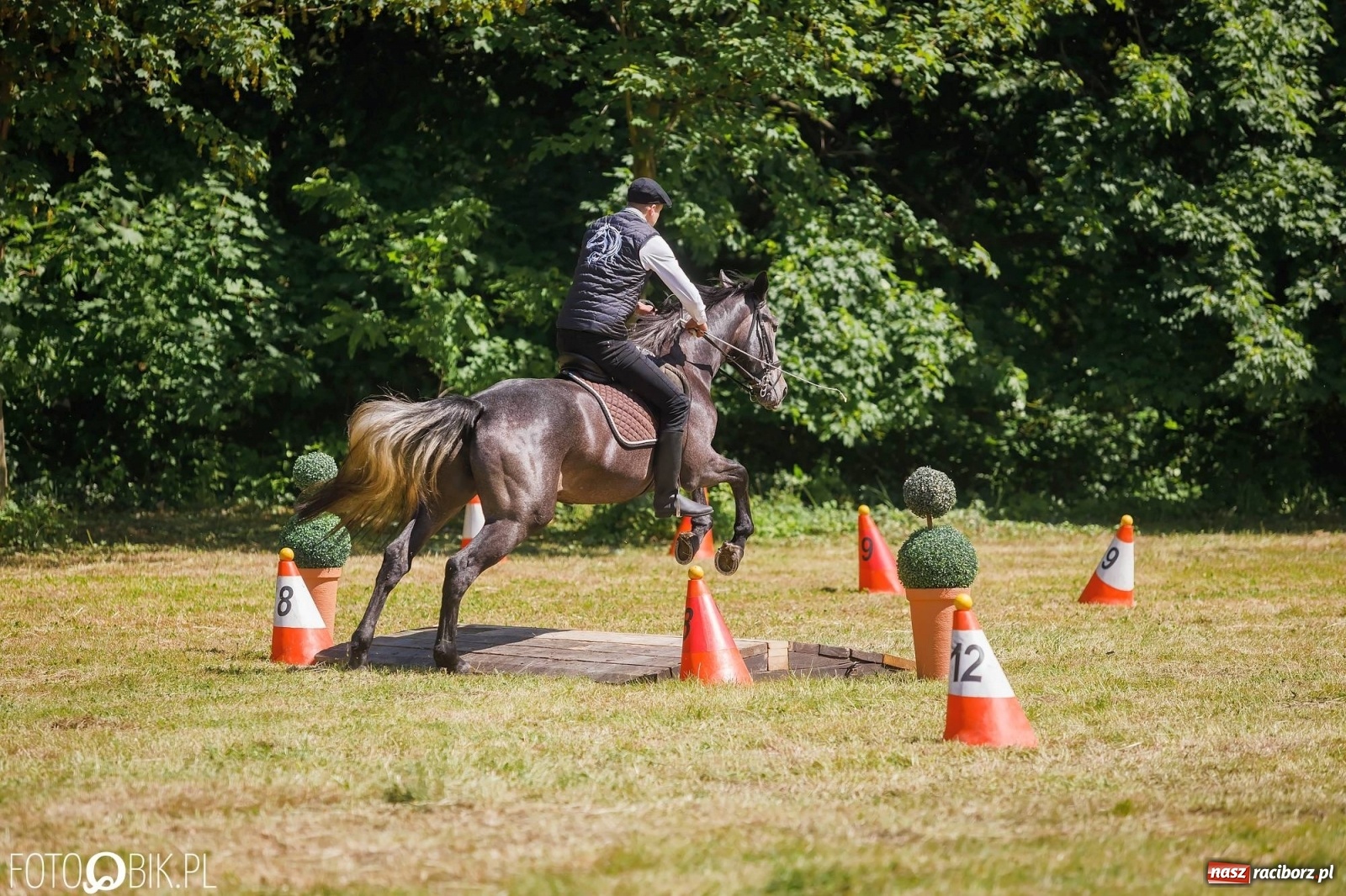 Zdjęcie w galerii na portalu naszraciborz.pl: W siodłach i zaprzęgach. Zawody konne w Łubowicach wiadomości z regionu