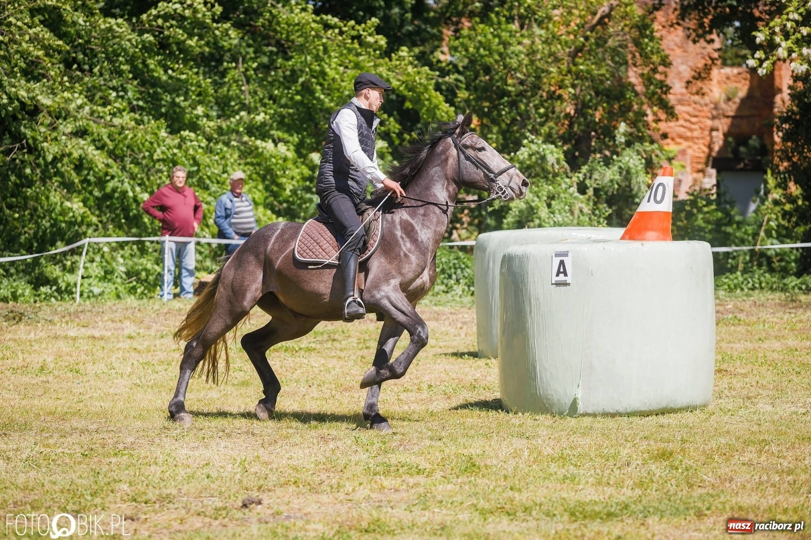 Zdjęcie w galerii na portalu naszraciborz.pl: W siodłach i zaprzęgach. Zawody konne w Łubowicach wiadomości z regionu