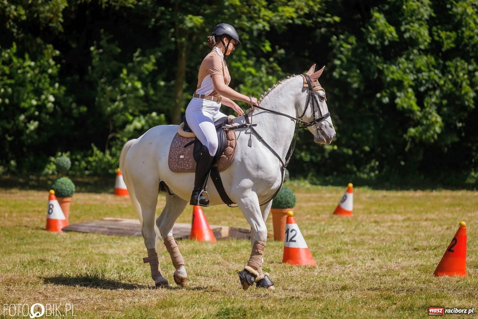 Zdjęcie w galerii na portalu naszraciborz.pl: W siodłach i zaprzęgach. Zawody konne w Łubowicach wiadomości z regionu