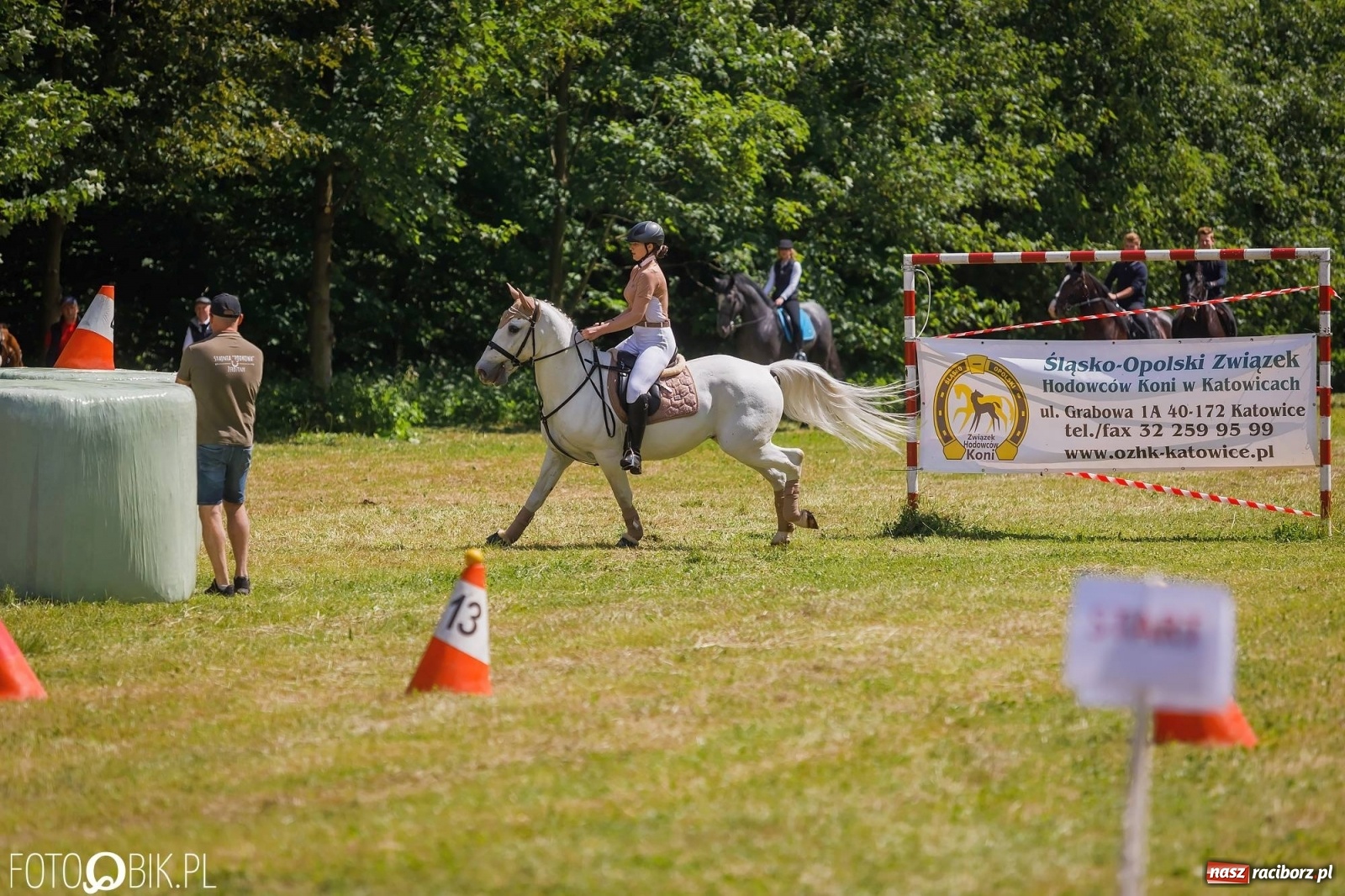 Zdjęcie w galerii na portalu naszraciborz.pl: W siodłach i zaprzęgach. Zawody konne w Łubowicach wiadomości z regionu