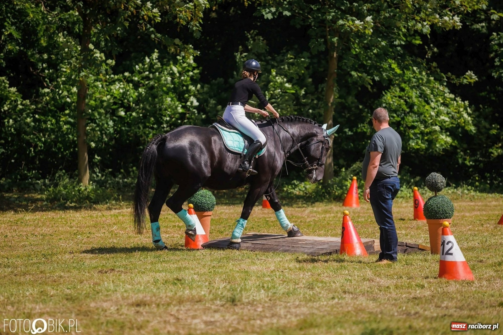 Zdjęcie w galerii na portalu naszraciborz.pl: W siodłach i zaprzęgach. Zawody konne w Łubowicach wiadomości z regionu