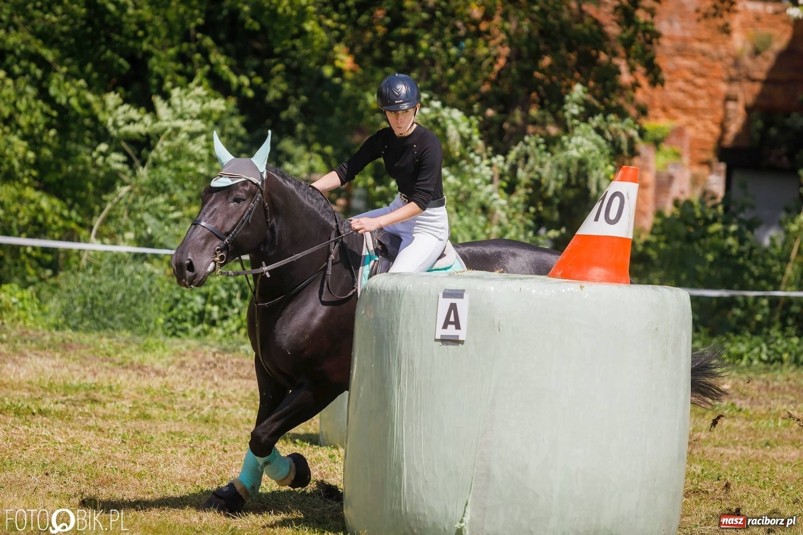 Zdjęcie w galerii na portalu naszraciborz.pl: W siodłach i zaprzęgach. Zawody konne w Łubowicach wiadomości z regionu