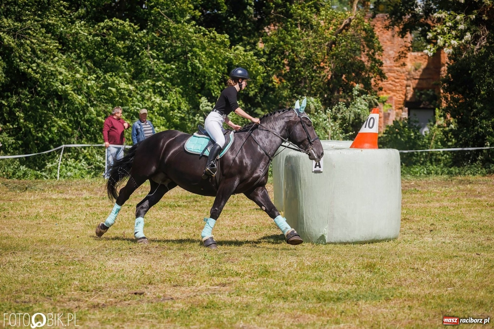 Zdjęcie w galerii na portalu naszraciborz.pl: W siodłach i zaprzęgach. Zawody konne w Łubowicach wiadomości z regionu