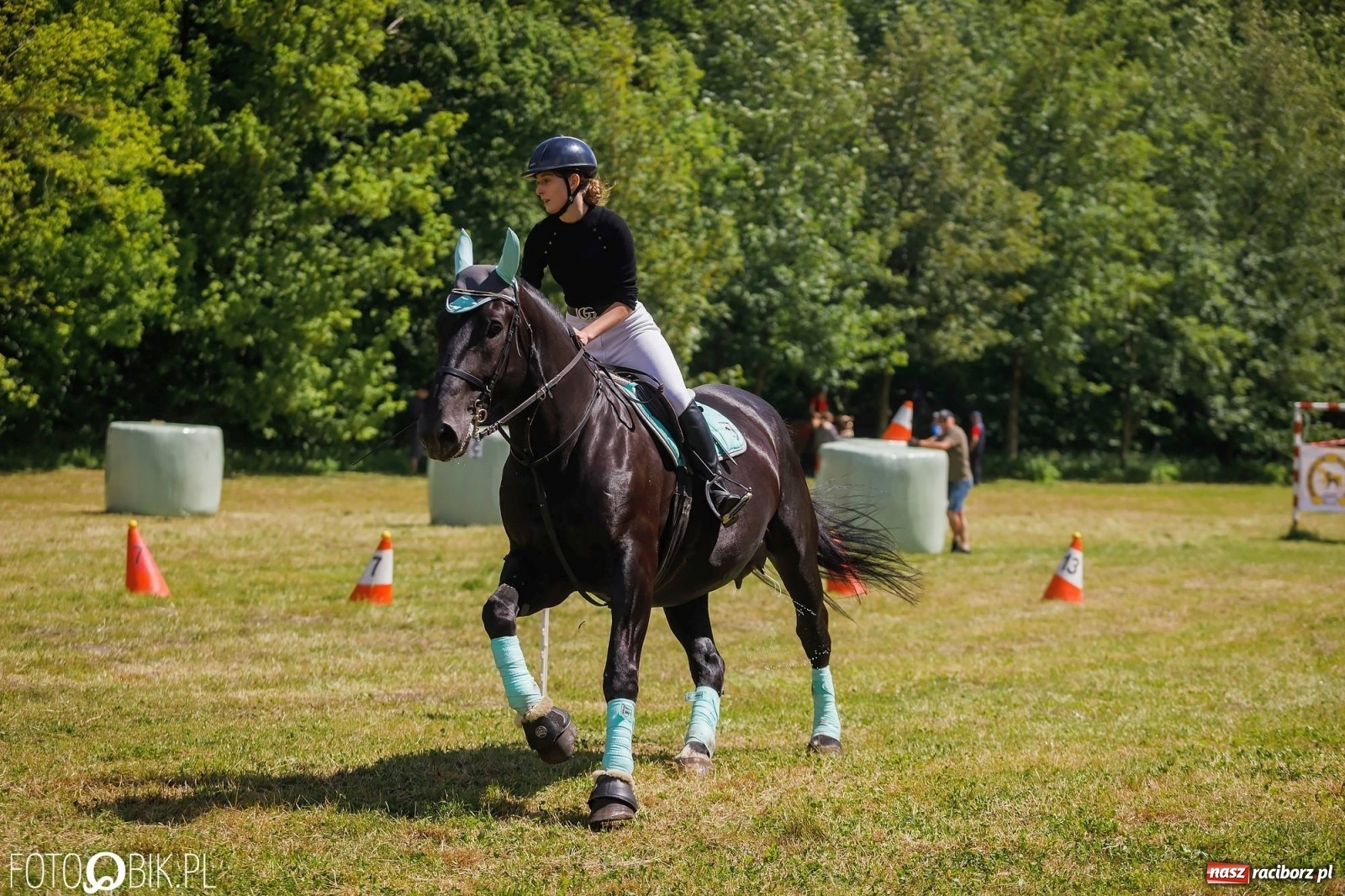 Zdjęcie w galerii na portalu naszraciborz.pl: W siodłach i zaprzęgach. Zawody konne w Łubowicach wiadomości z regionu