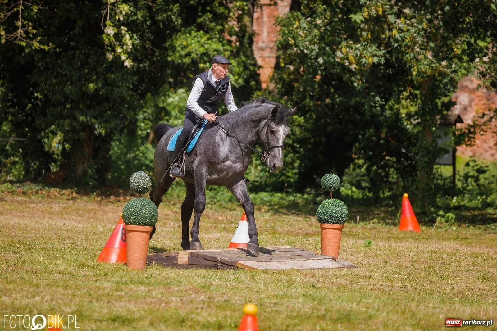 Zdjęcie w galerii na portalu naszraciborz.pl: W siodłach i zaprzęgach. Zawody konne w Łubowicach wiadomości z regionu