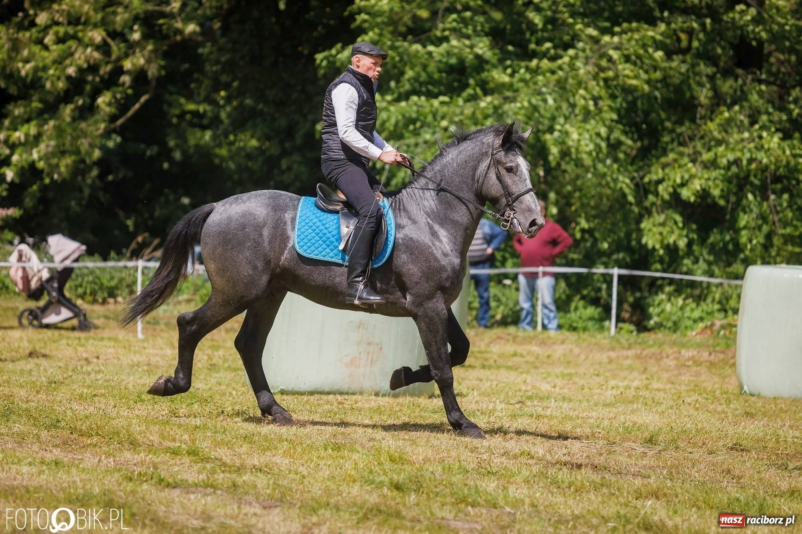 Zdjęcie w galerii na portalu naszraciborz.pl: W siodłach i zaprzęgach. Zawody konne w Łubowicach wiadomości z regionu