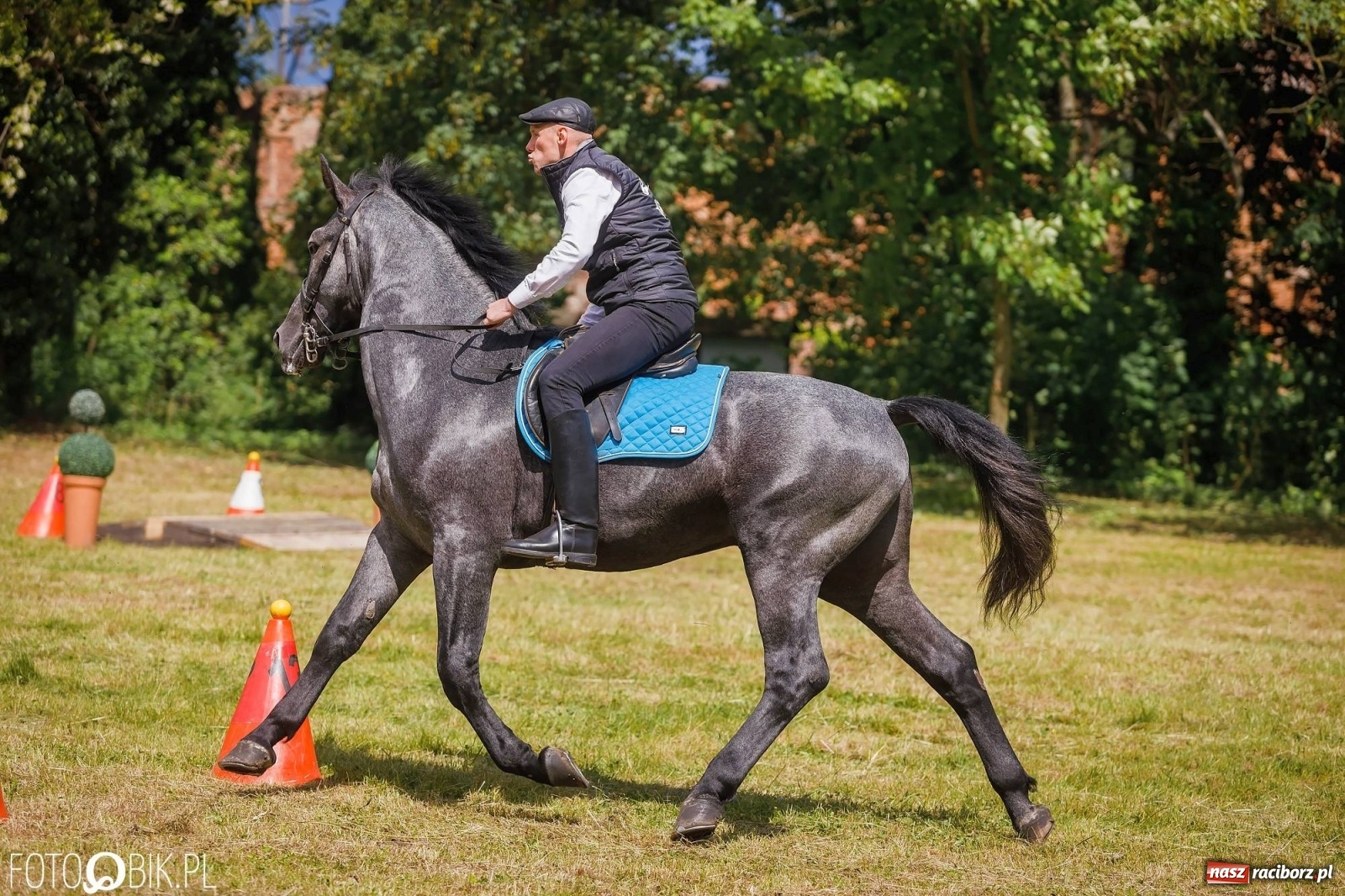Zdjęcie w galerii na portalu naszraciborz.pl: W siodłach i zaprzęgach. Zawody konne w Łubowicach wiadomości z regionu