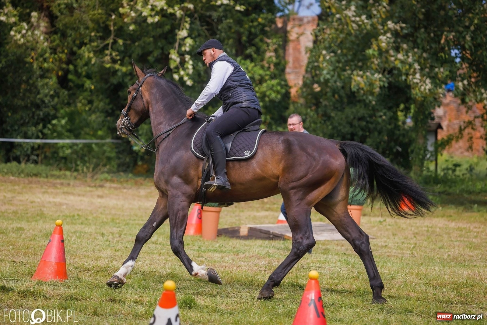 Zdjęcie w galerii na portalu naszraciborz.pl: W siodłach i zaprzęgach. Zawody konne w Łubowicach wiadomości z regionu