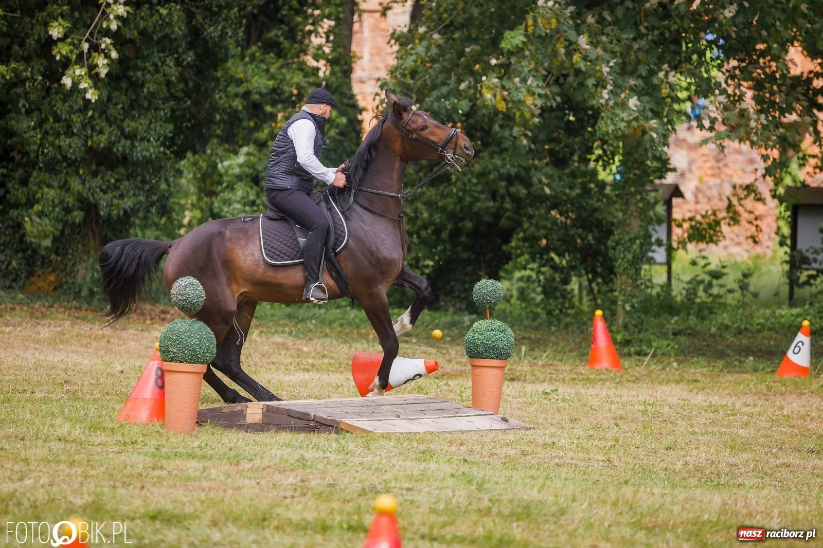 Zdjęcie w galerii na portalu naszraciborz.pl: W siodłach i zaprzęgach. Zawody konne w Łubowicach wiadomości z regionu
