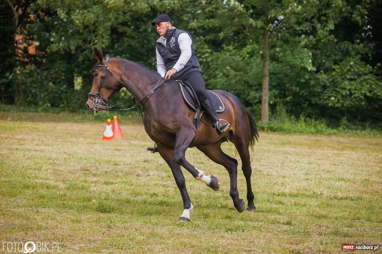 Zdjęcie w galerii na portalu naszraciborz.pl: W siodłach i zaprzęgach. Zawody konne w Łubowicach wiadomości z regionu