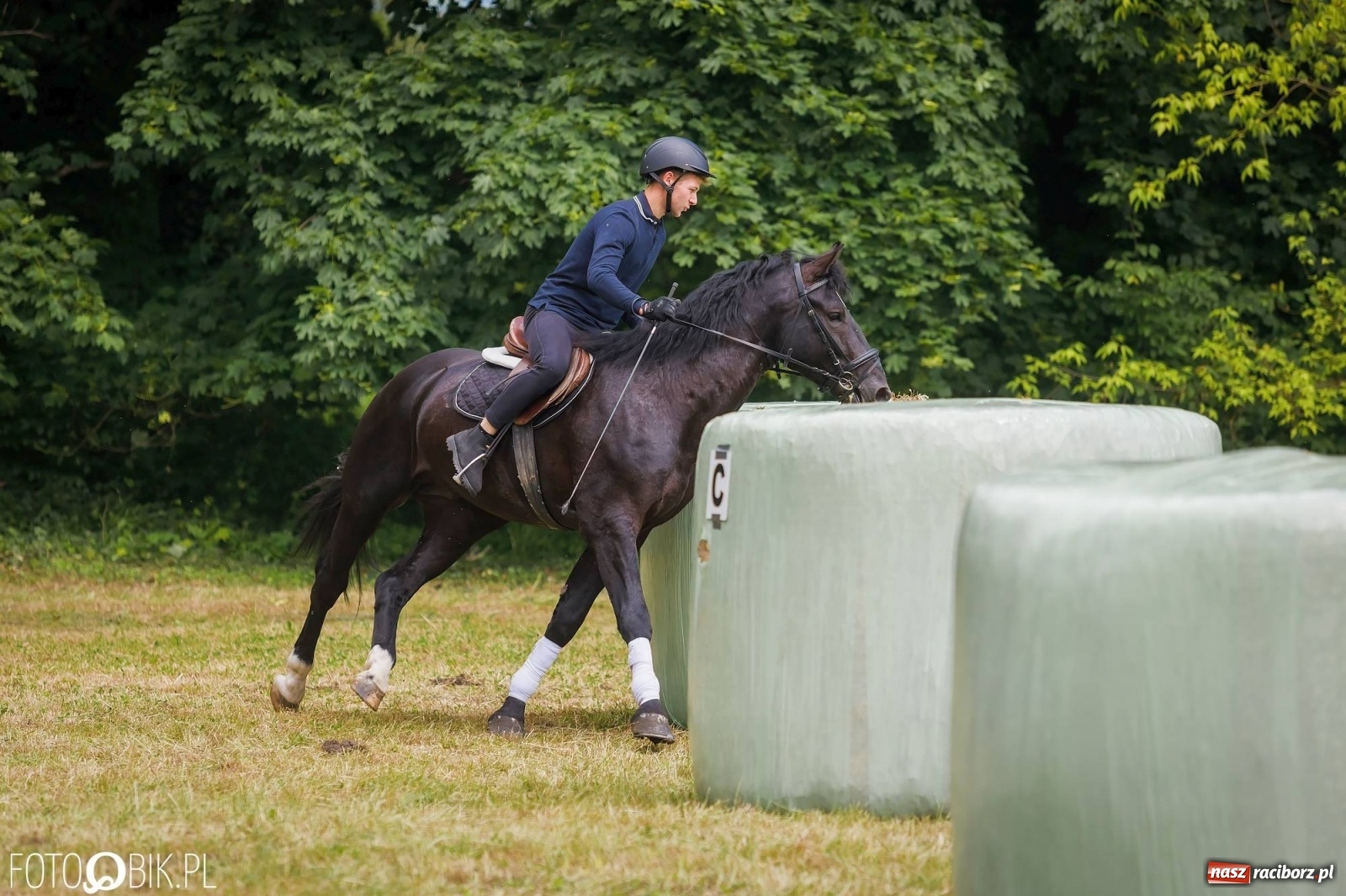 Zdjęcie w galerii na portalu naszraciborz.pl: W siodłach i zaprzęgach. Zawody konne w Łubowicach wiadomości z regionu
