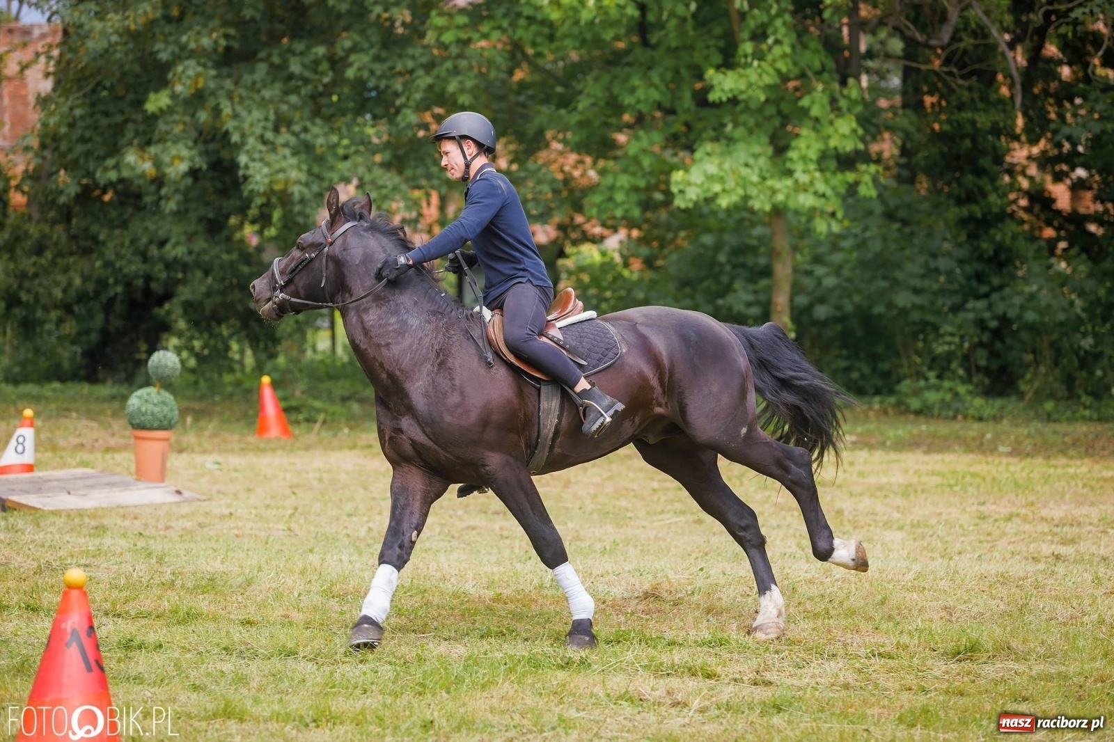 Zdjęcie w galerii na portalu naszraciborz.pl: W siodłach i zaprzęgach. Zawody konne w Łubowicach wiadomości z regionu