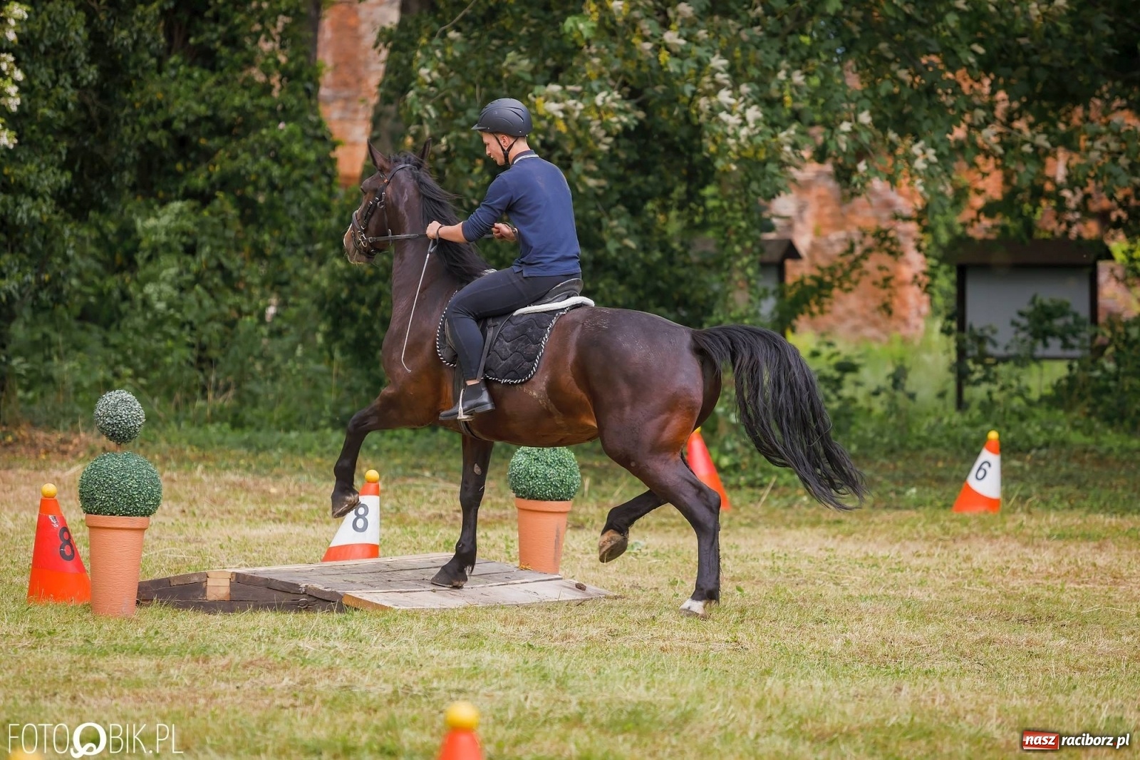 Zdjęcie w galerii na portalu naszraciborz.pl: W siodłach i zaprzęgach. Zawody konne w Łubowicach wiadomości z regionu