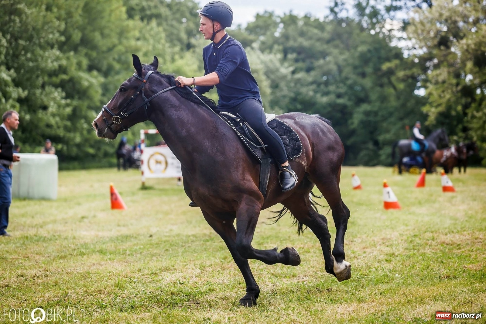 Zdjęcie w galerii na portalu naszraciborz.pl: W siodłach i zaprzęgach. Zawody konne w Łubowicach wiadomości z regionu