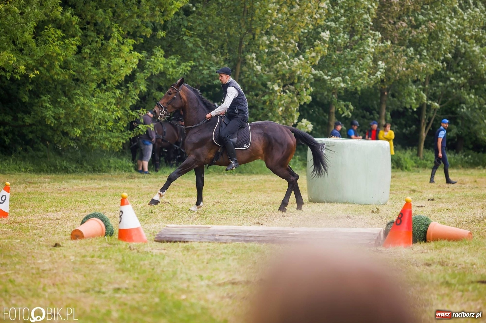 Zdjęcie w galerii na portalu naszraciborz.pl: W siodłach i zaprzęgach. Zawody konne w Łubowicach wiadomości z regionu