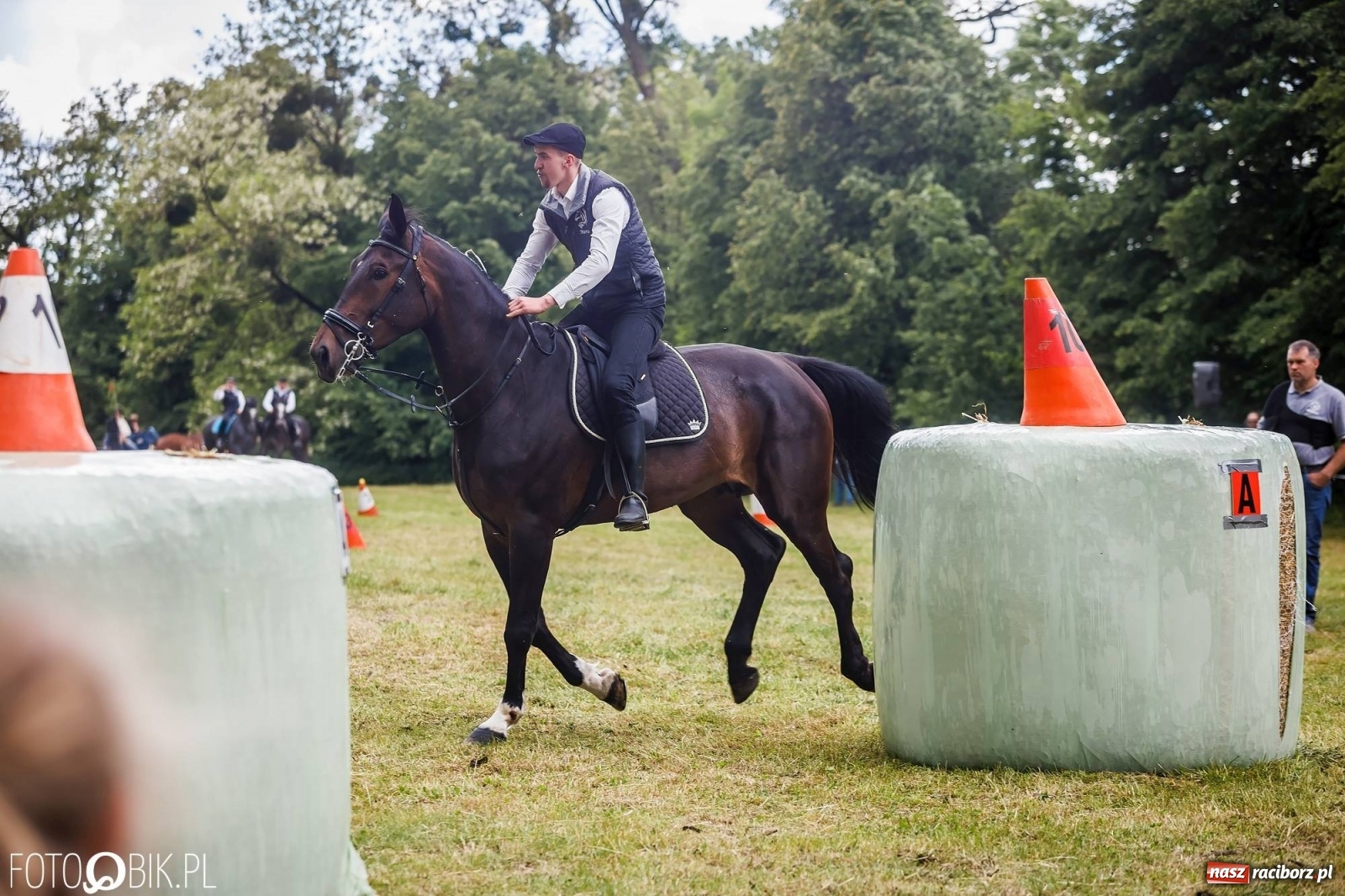 Zdjęcie w galerii na portalu naszraciborz.pl: W siodłach i zaprzęgach. Zawody konne w Łubowicach wiadomości z regionu