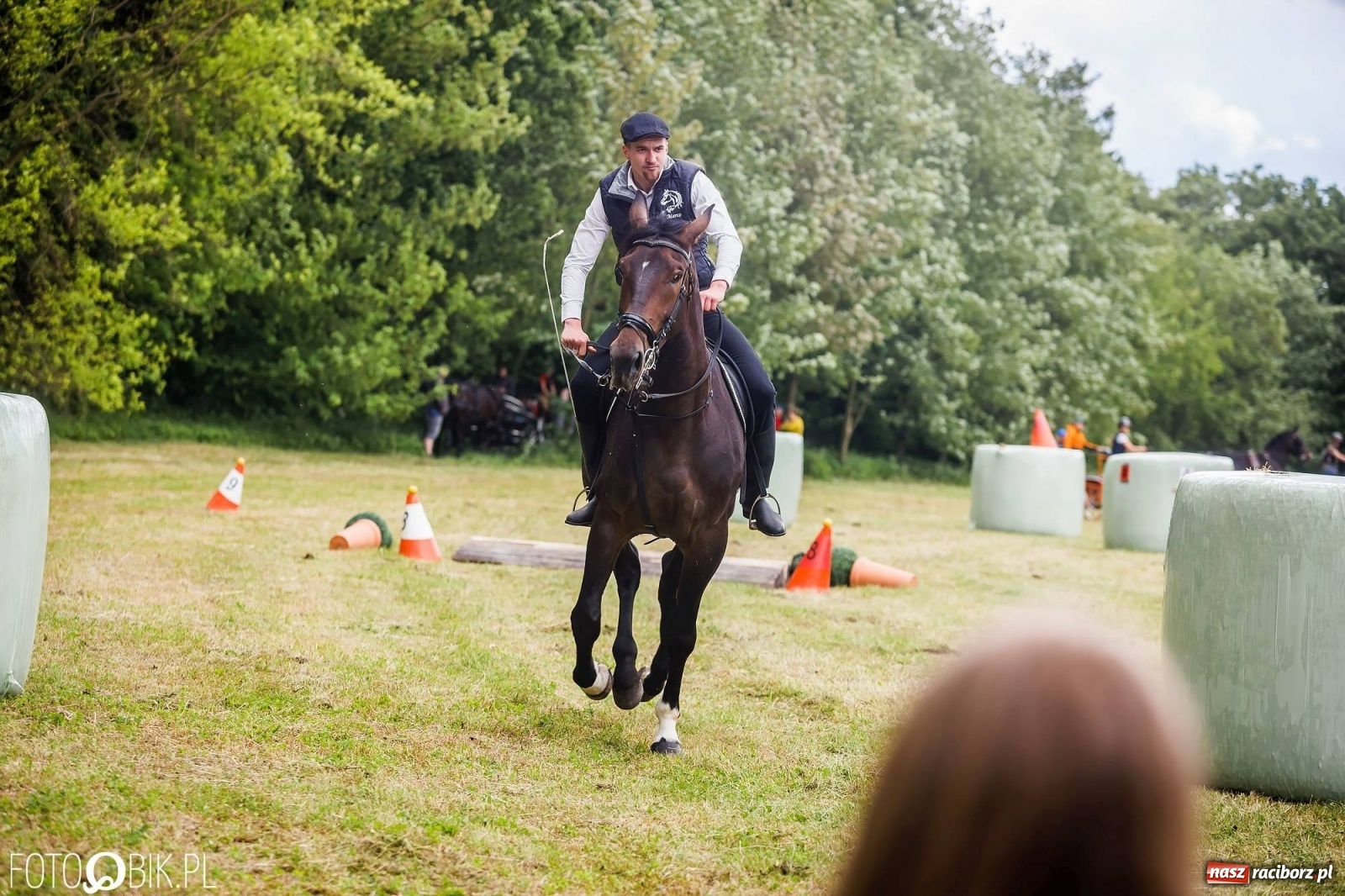 Zdjęcie w galerii na portalu naszraciborz.pl: W siodłach i zaprzęgach. Zawody konne w Łubowicach wiadomości z regionu