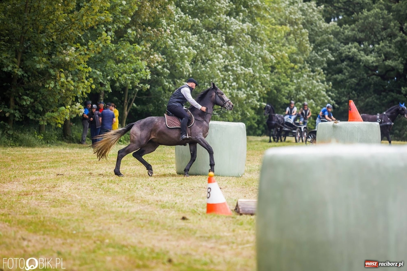 Zdjęcie w galerii na portalu naszraciborz.pl: W siodłach i zaprzęgach. Zawody konne w Łubowicach wiadomości z regionu
