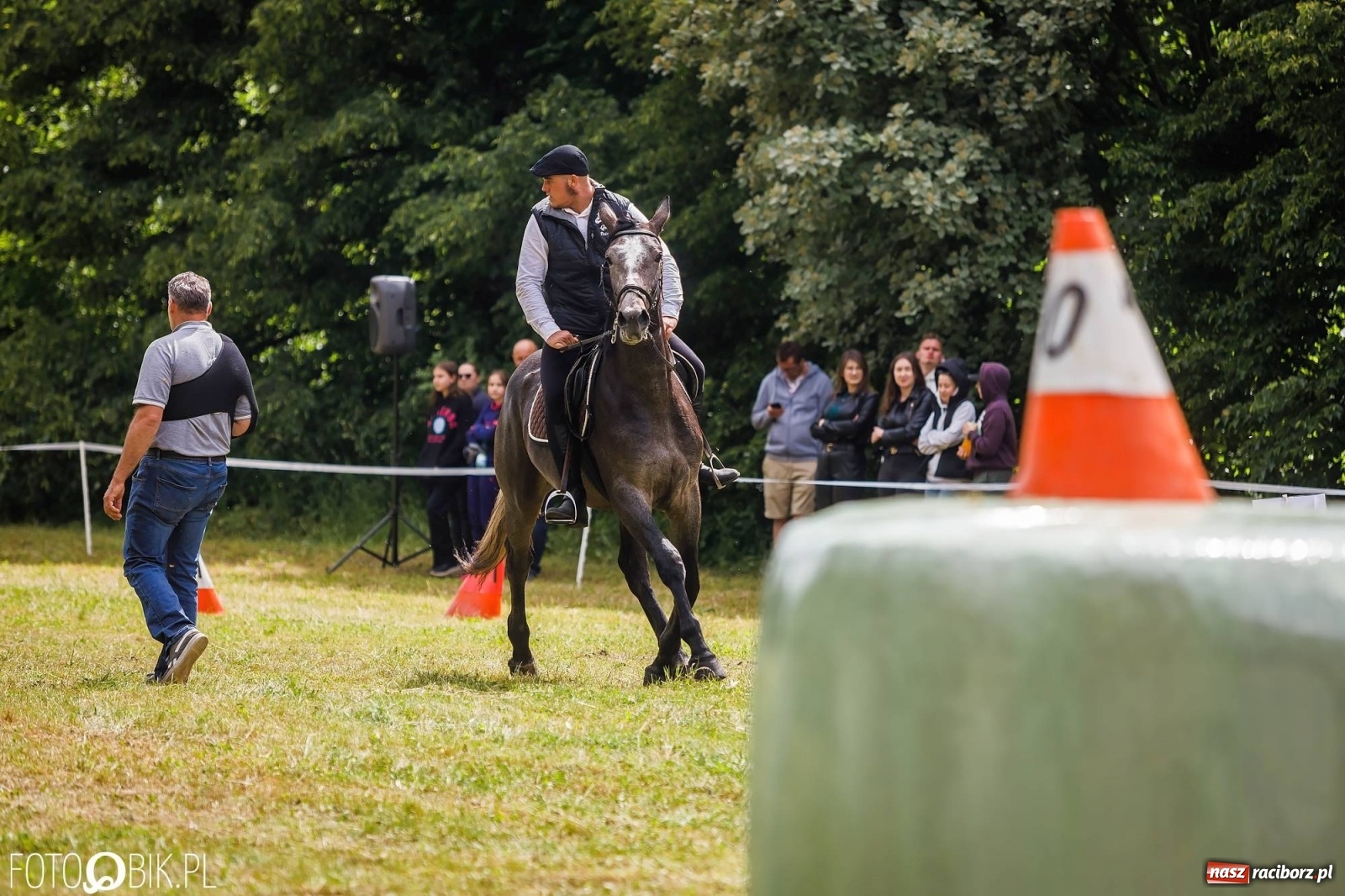 Zdjęcie w galerii na portalu naszraciborz.pl: W siodłach i zaprzęgach. Zawody konne w Łubowicach wiadomości z regionu