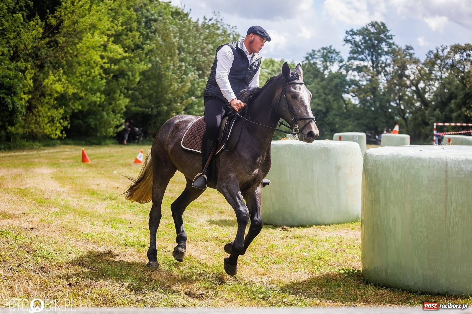 Zdjęcie w galerii na portalu naszraciborz.pl: W siodłach i zaprzęgach. Zawody konne w Łubowicach wiadomości z regionu