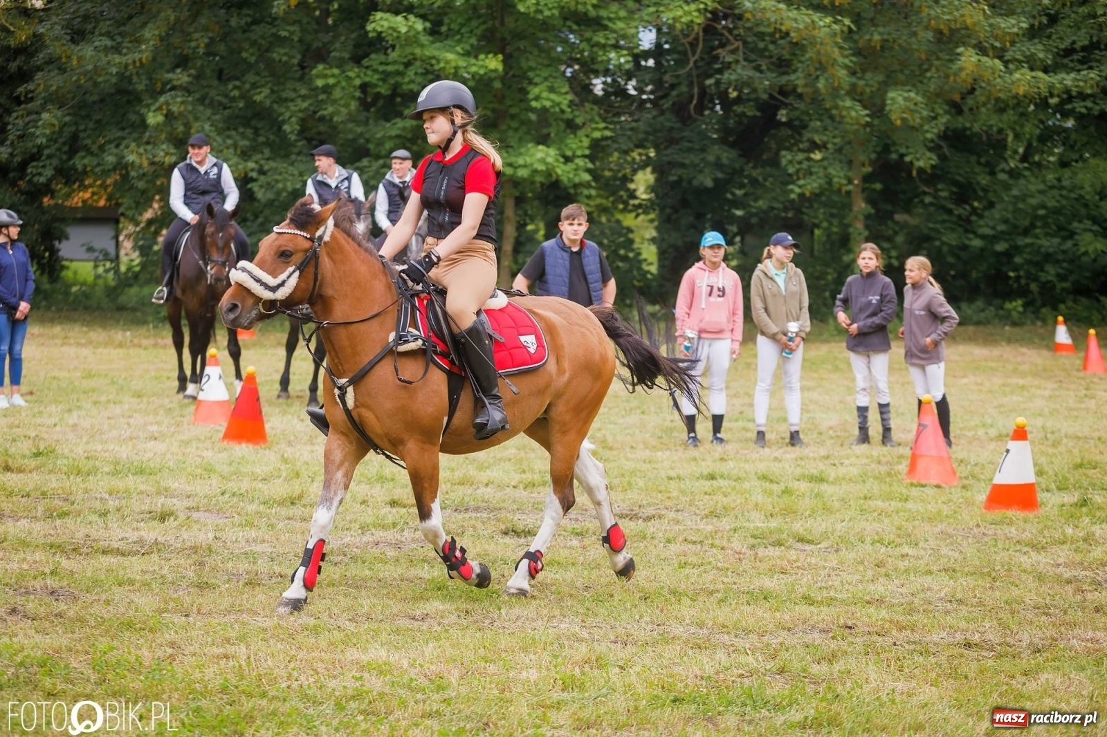Zdjęcie w galerii na portalu naszraciborz.pl: W siodłach i zaprzęgach. Zawody konne w Łubowicach wiadomości z regionu