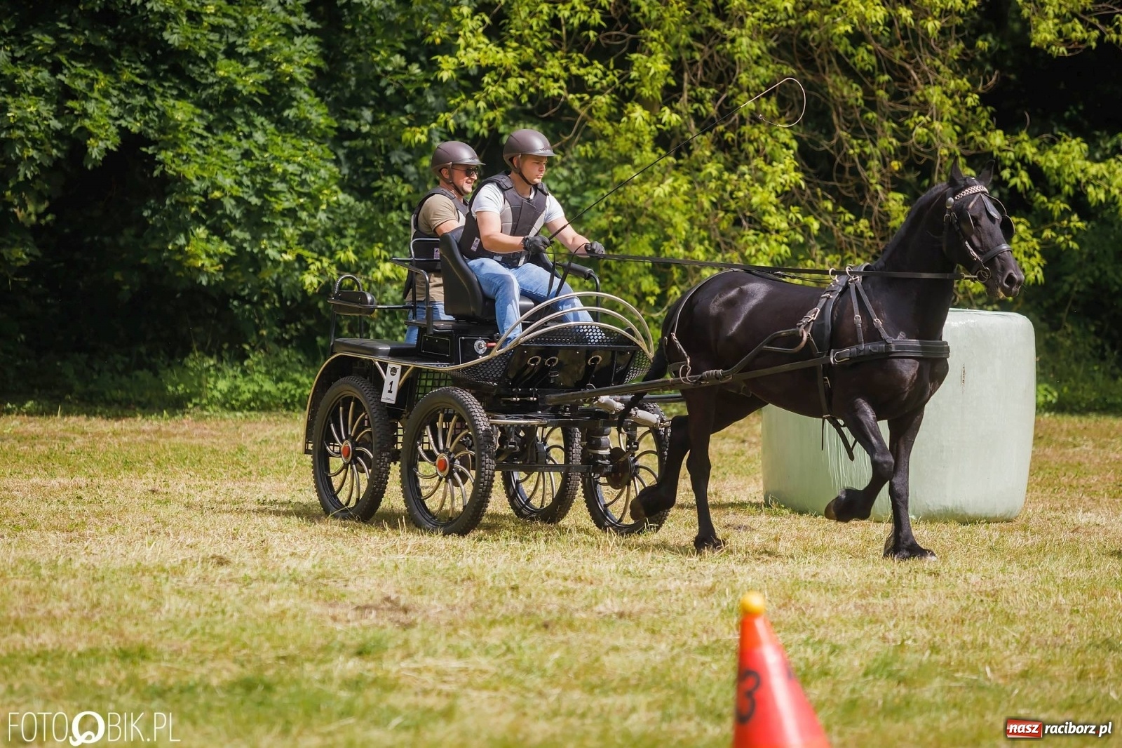 Zdjęcie w galerii na portalu naszraciborz.pl: W siodłach i zaprzęgach. Zawody konne w Łubowicach wiadomości z regionu