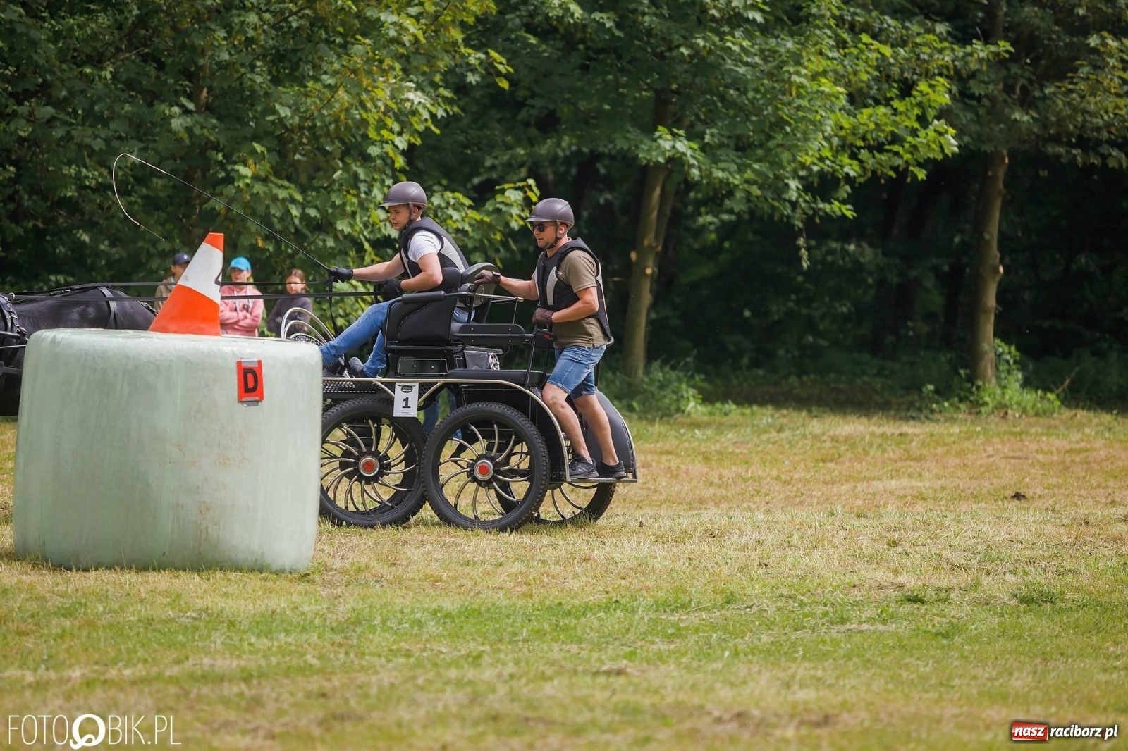Zdjęcie w galerii na portalu naszraciborz.pl: W siodłach i zaprzęgach. Zawody konne w Łubowicach wiadomości z regionu